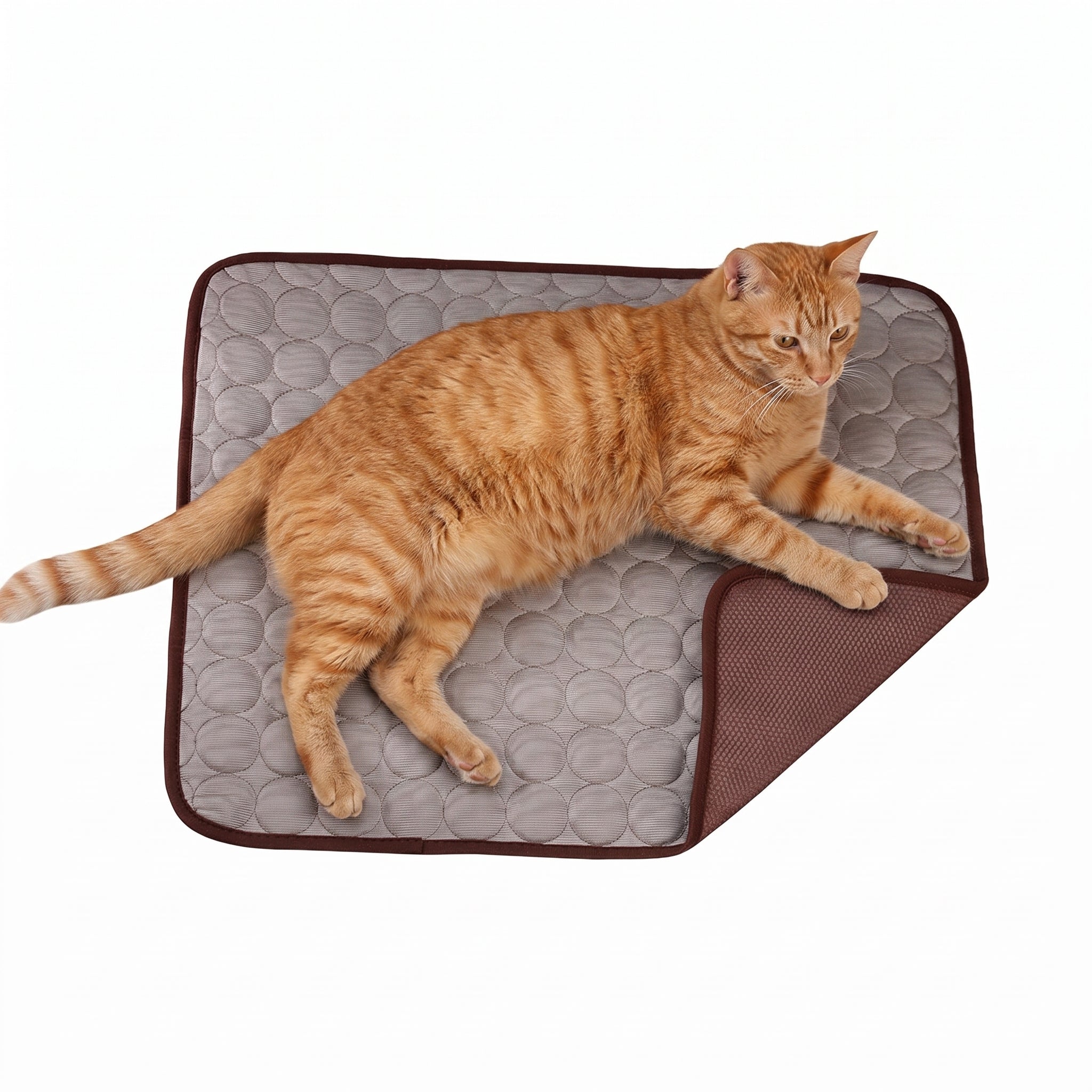 PurrChill Cooling Mat — Instant Relief for Cats & Dogs