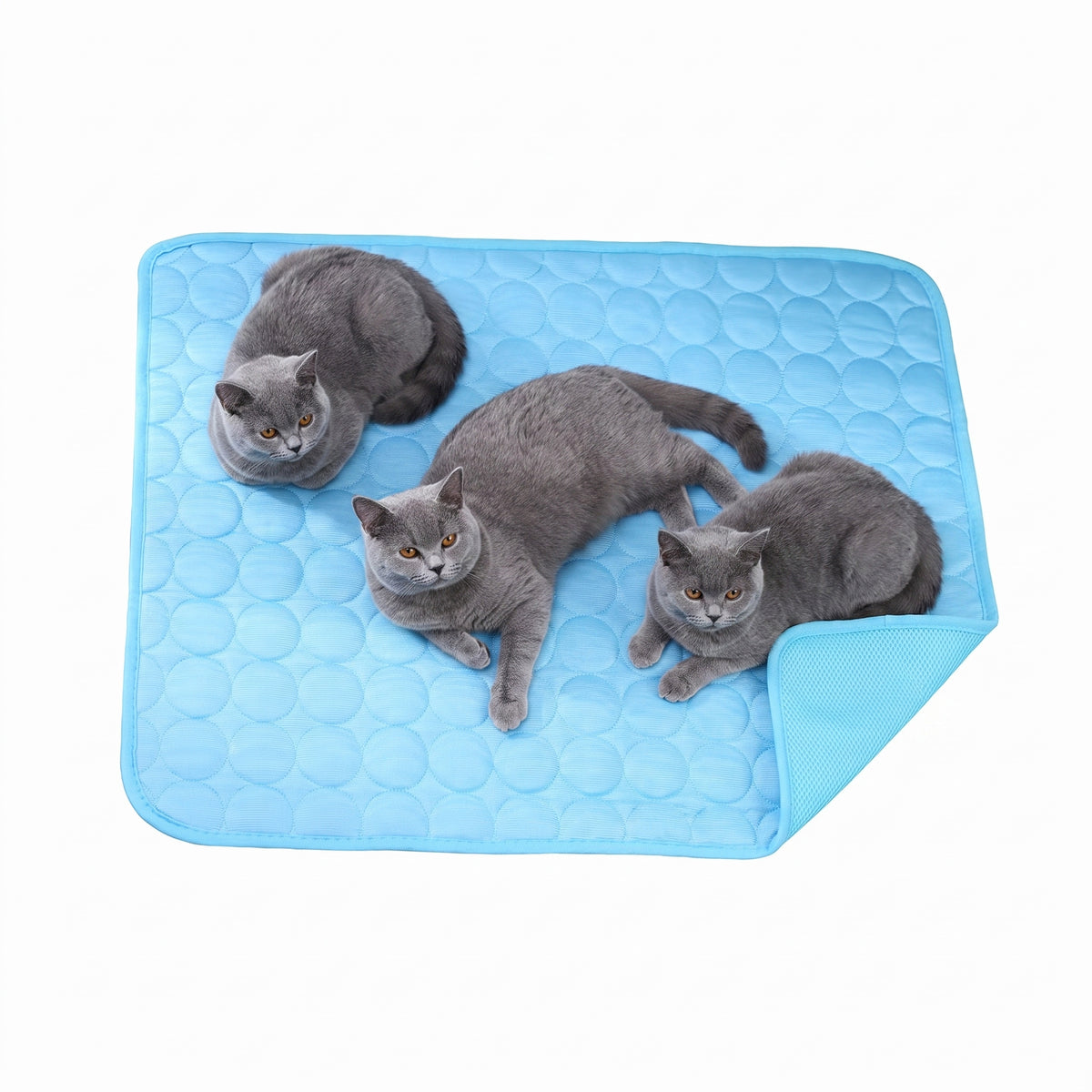 PurrChill Cooling Mat — Instant Relief for Cats & Dogs