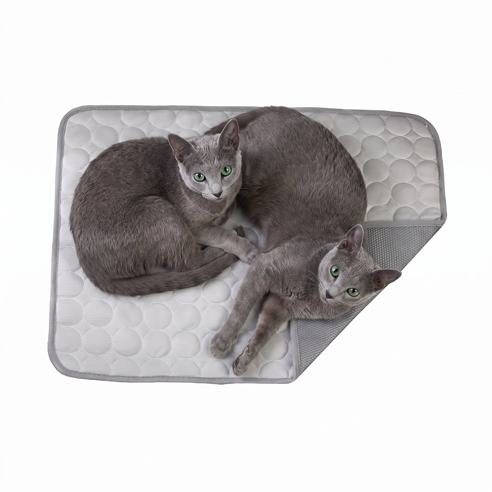 PurrChill Cooling Mat — Instant Relief for Cats & Dogs