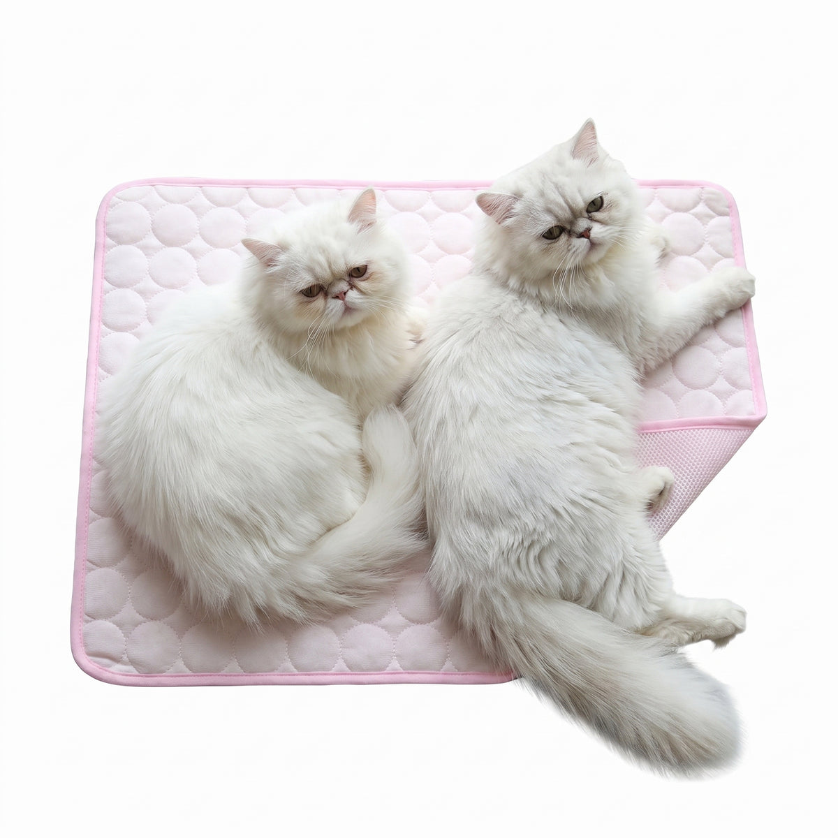 PurrChill Cooling Mat — Instant Relief for Cats & Dogs